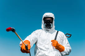 Best Indoor Pest Control  in Point Venture, TX